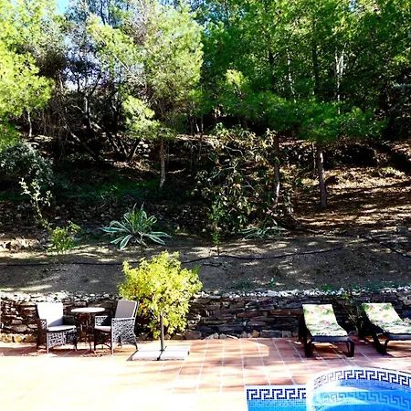 Apartment Olivos Sayalonga