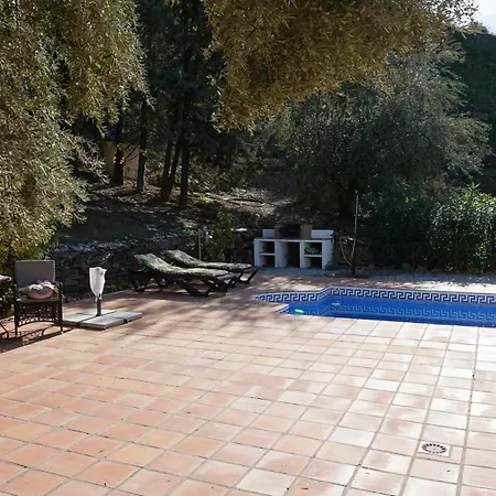 Olivos